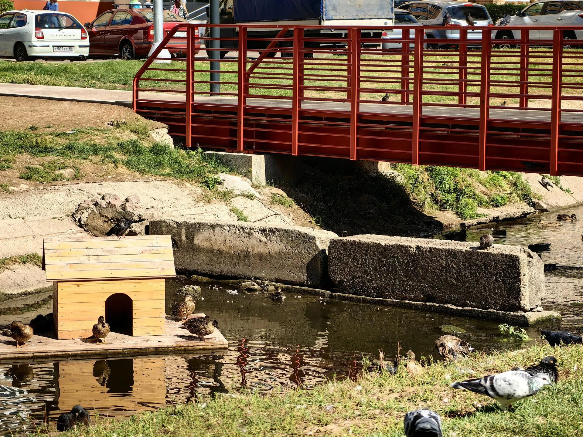 Елена Катасонова