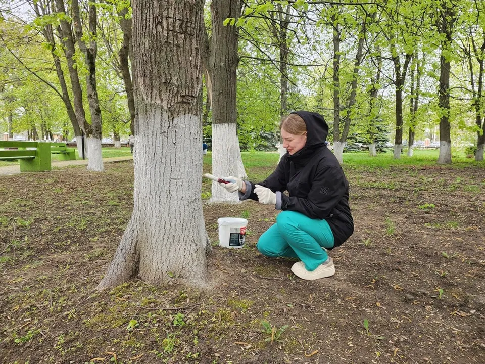 Фото: пресс-служба администрации м.о. Луховицы