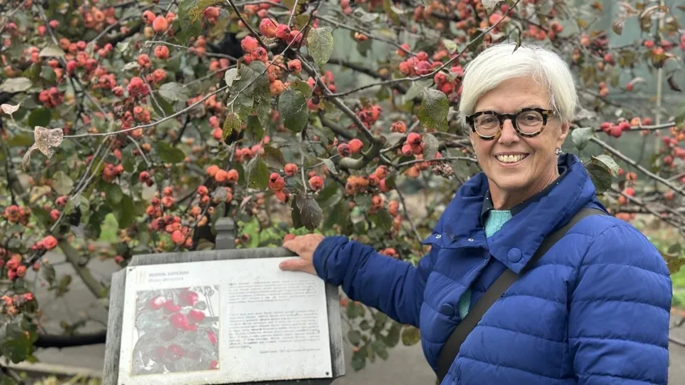 Фото: музей-резиденция «Арткоммуналка»