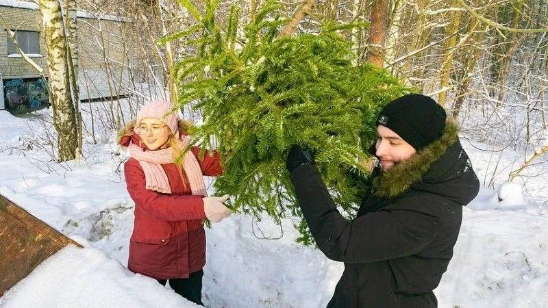 Пресс-служба губернатора и правительства МО