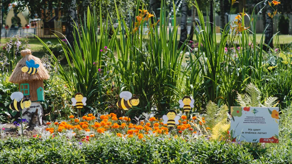 Фото: Госуслуги