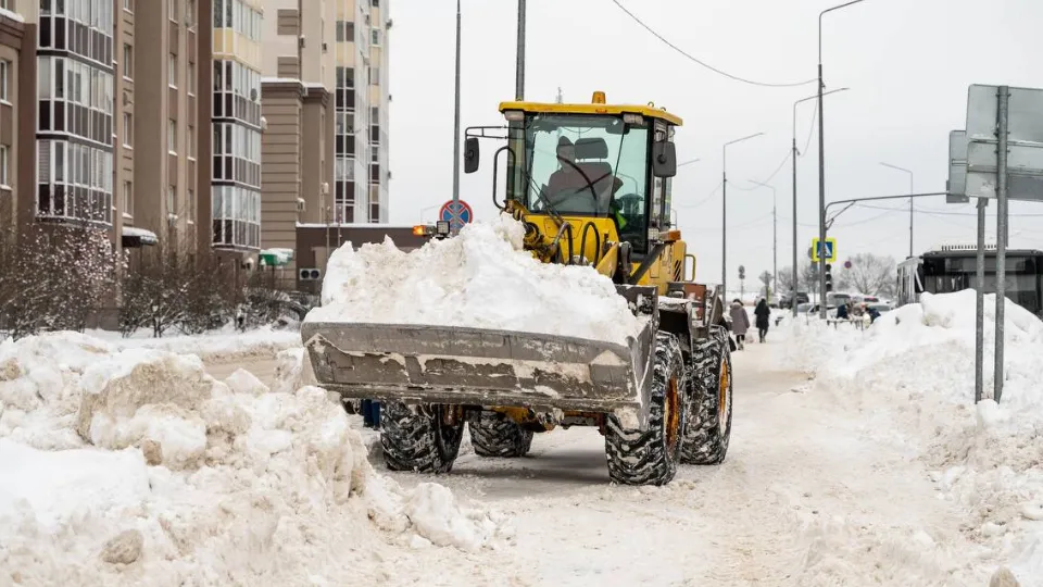 Фото: пресс-служба администрации г.о. Домодедово
