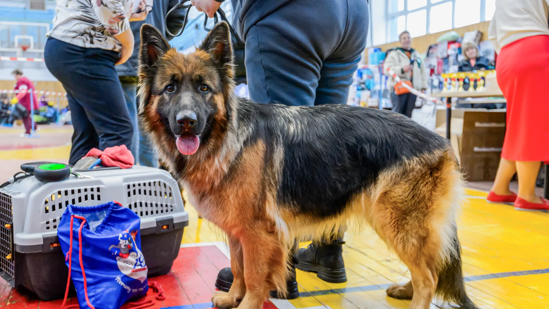 медиасток.рф
