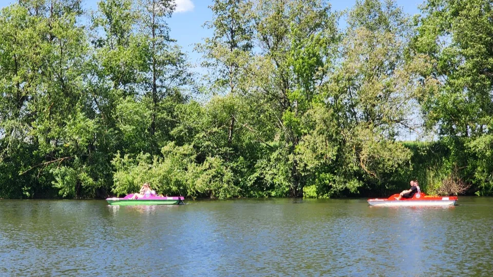 Фото: МедиаБанк Подмосковья/Станислав Орлов