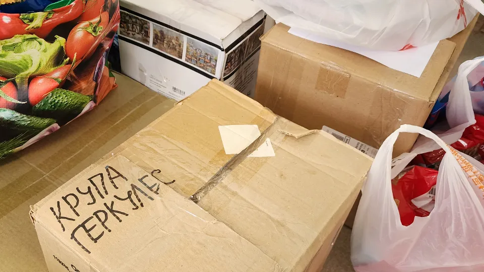 Фото: МедиаБанк Подмосковья/Валерия Тингаева