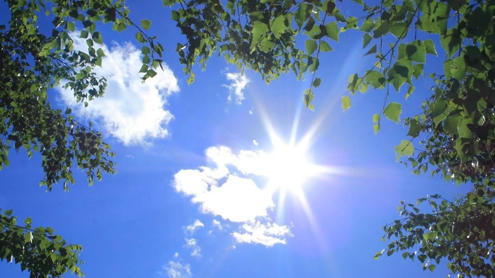 Фото: пресс-служба администрации ВГО