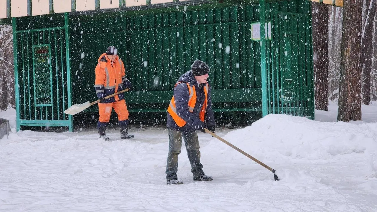 REGIONS/Анна Мороз