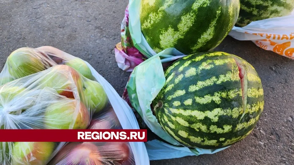 Фото: МедиаБанк Подмосковья/Иван Чижов