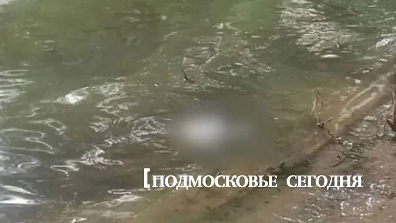 В люберецком пруду всплыли отрубленные головы баранов