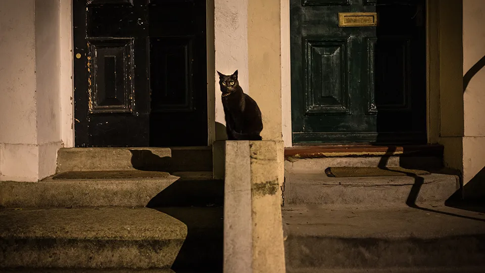 Фото: freepik.com