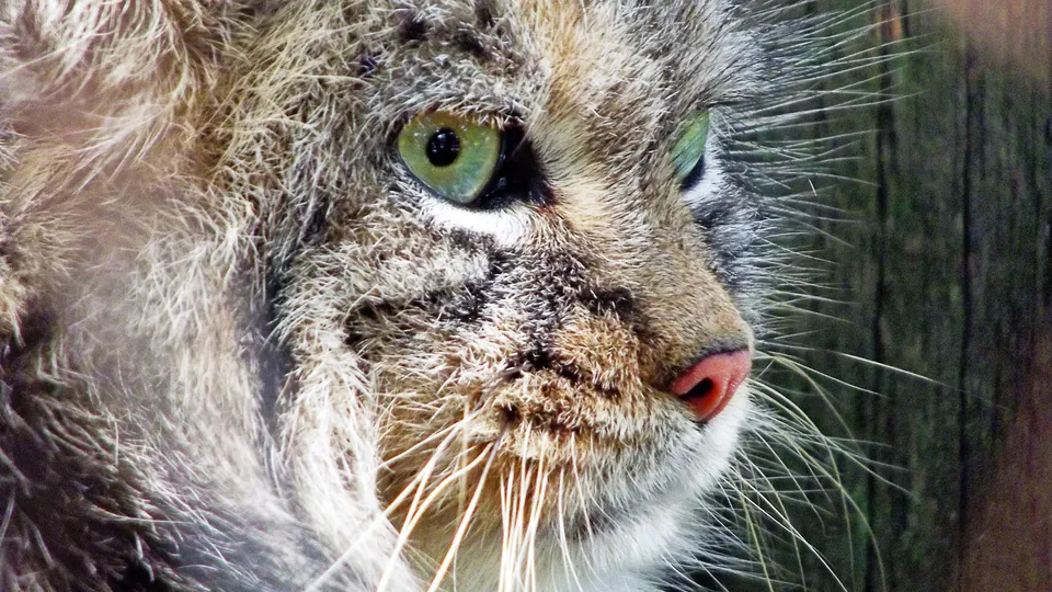 Фото: pxhere.com