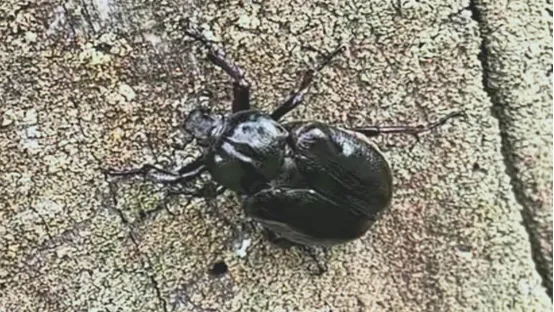 Фото Минэкологии