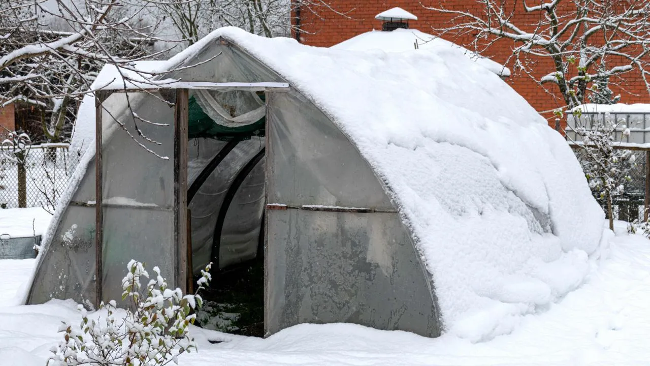 istockphoto.com/ANDA MIKELSONE