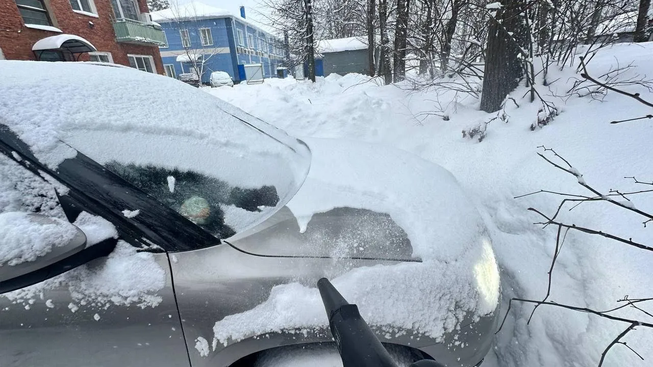 фото из личного архива Владимира Тихомирова