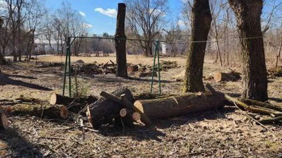 Фото: администрация Орехово-Зуевского округа