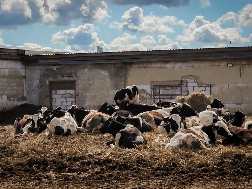 Фото: Ольга Антонова