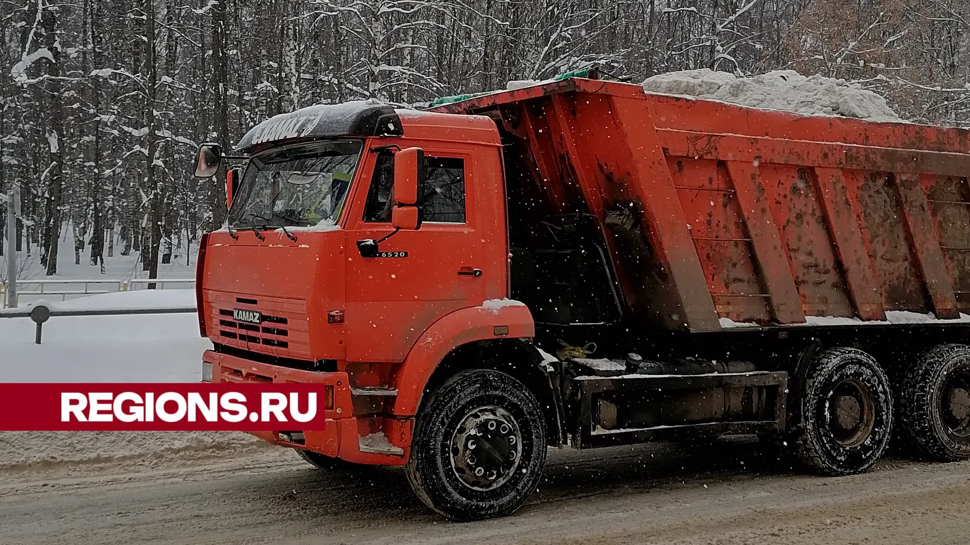 Фото: Юлия Смагринская