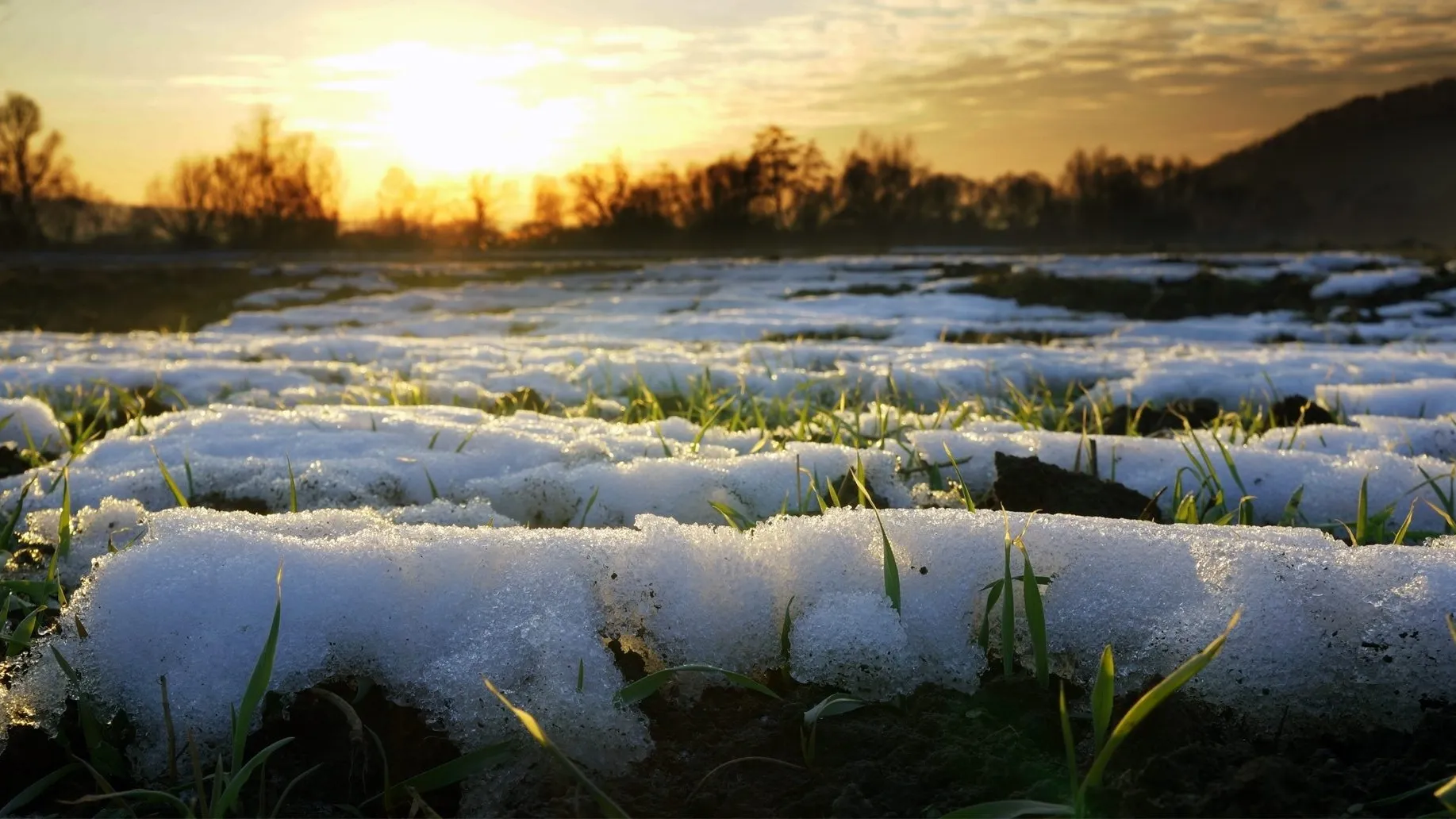 фото:.freepik.com