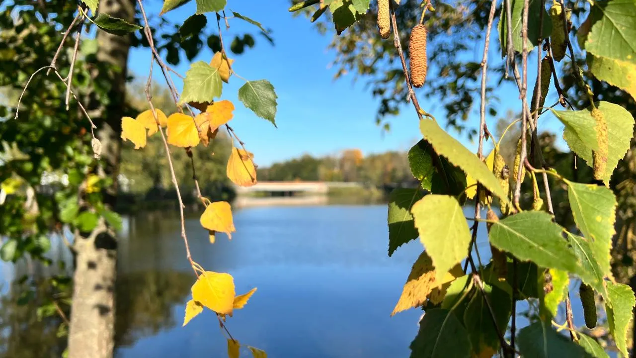 Фото: REGIONS/Елена Фурман
