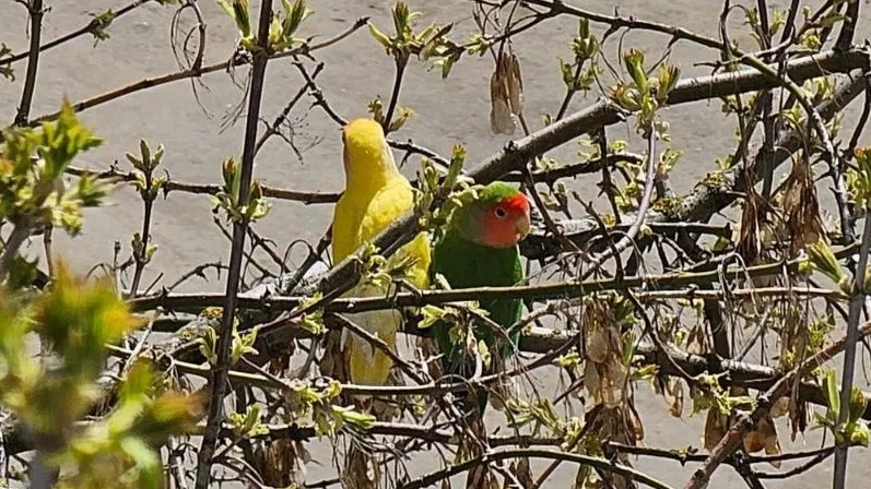 Фото: предоставлено жительницей Химок