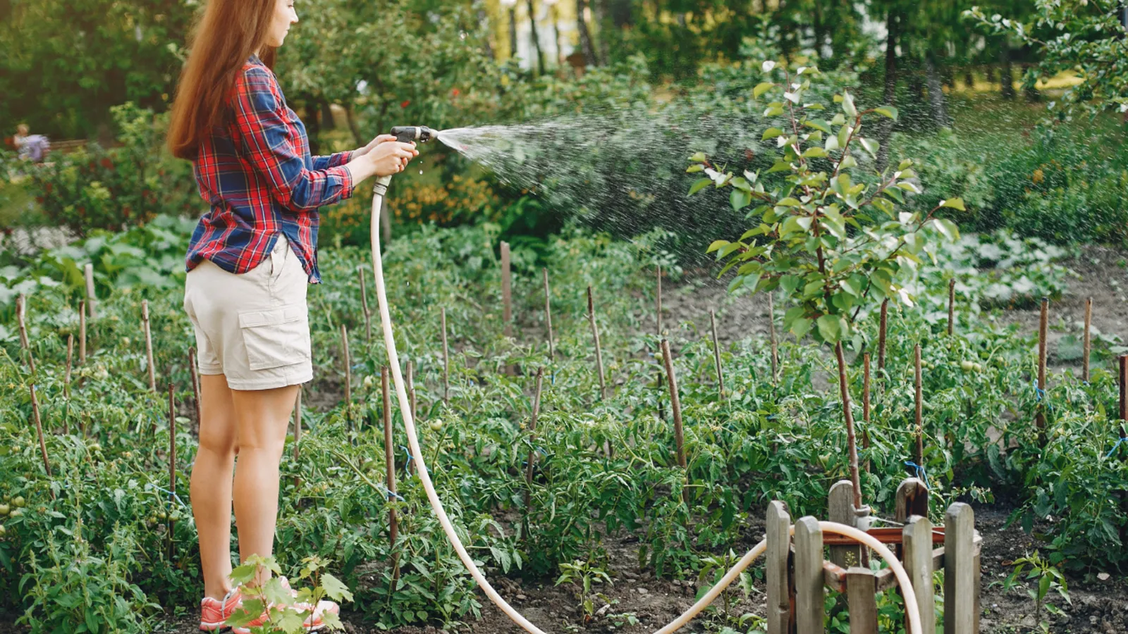 Фото: freepik.com