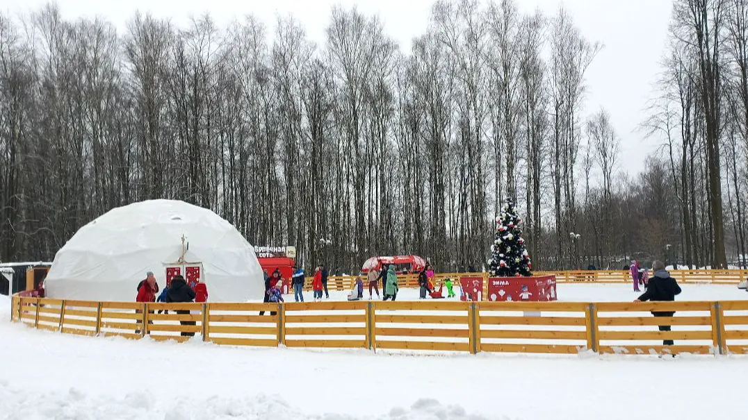 Фото: Олег Книжник