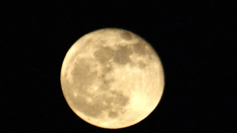 Alexander Legky/Global Look Press