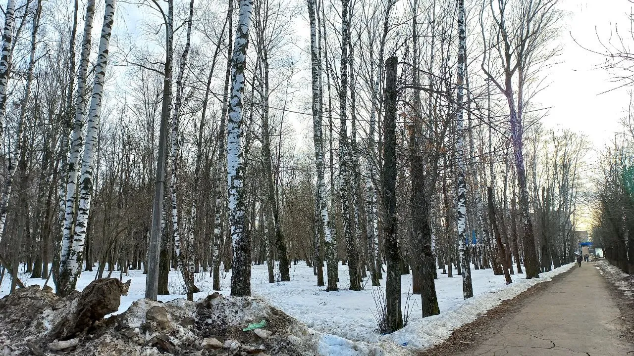 Фото: REGIONS/Олег Книжник