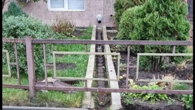 Фото соцсети.