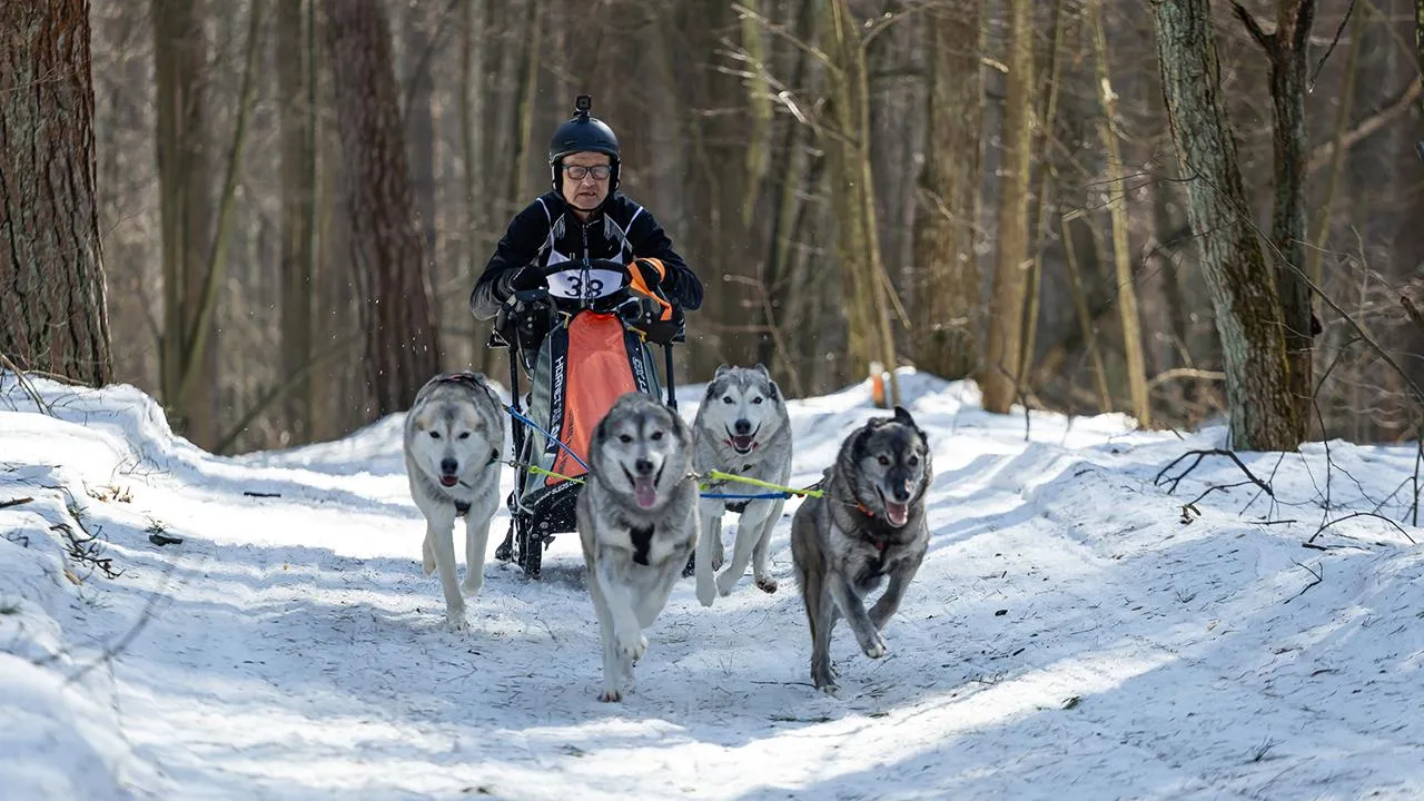 Юлия Козлова