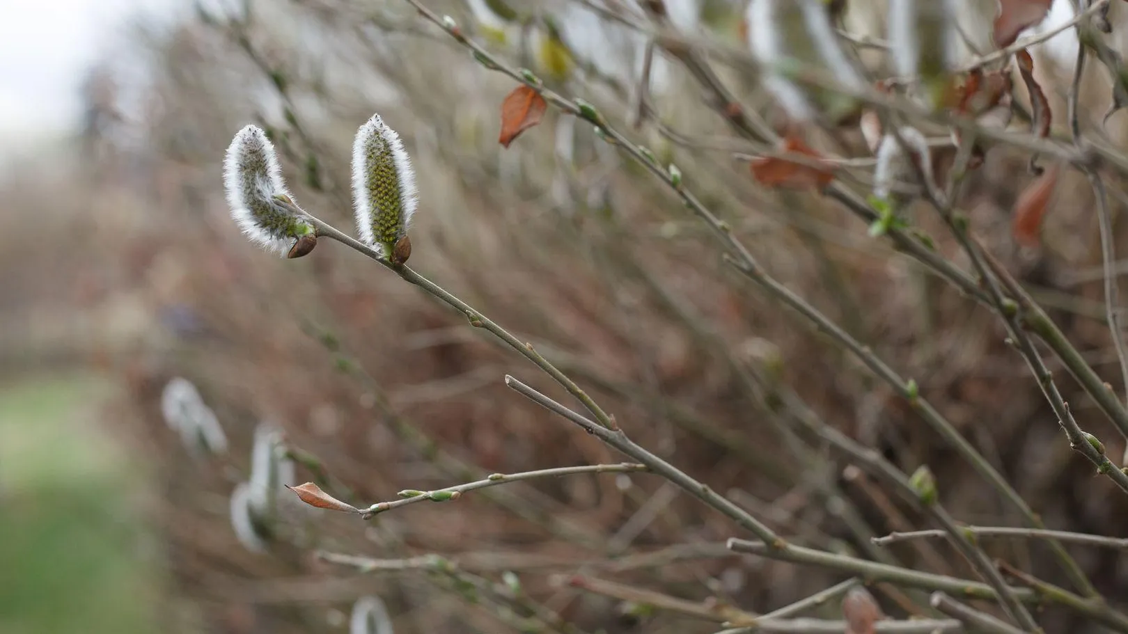 медиасток.рф