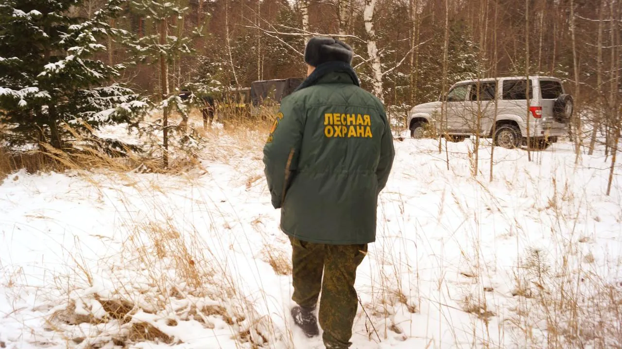 филиал «Русский лес» ГКУ МО «Мособллес»