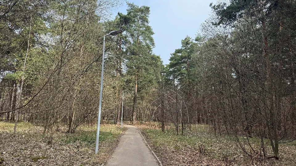 Фото: МедиаБанк Подмосковья/Полина Абраменко