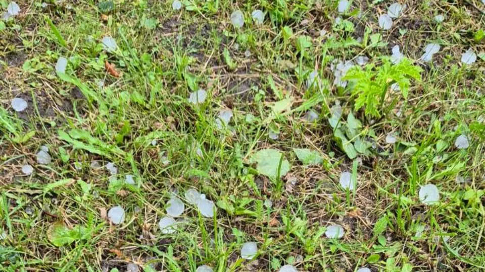 Фото: t.me/alexander_gorbylev_ruza