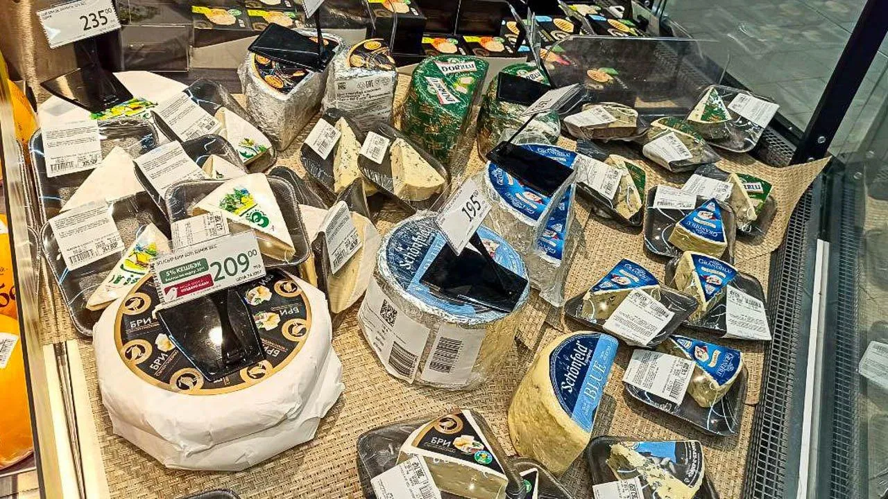 REGIONS/Эльвира Сафина