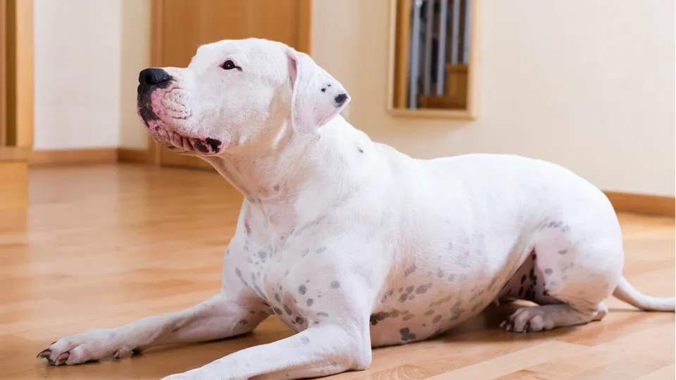 Фото: freepik.com