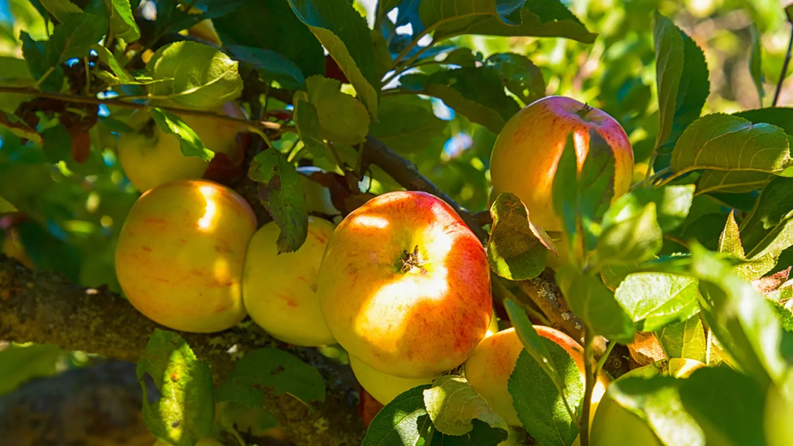 Фото: freepik.com