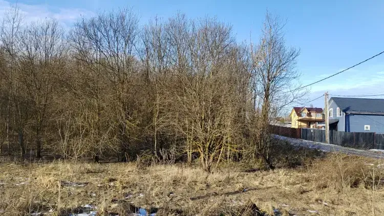 Фото: Единый портал торгов Московской области ЕАСУЗ