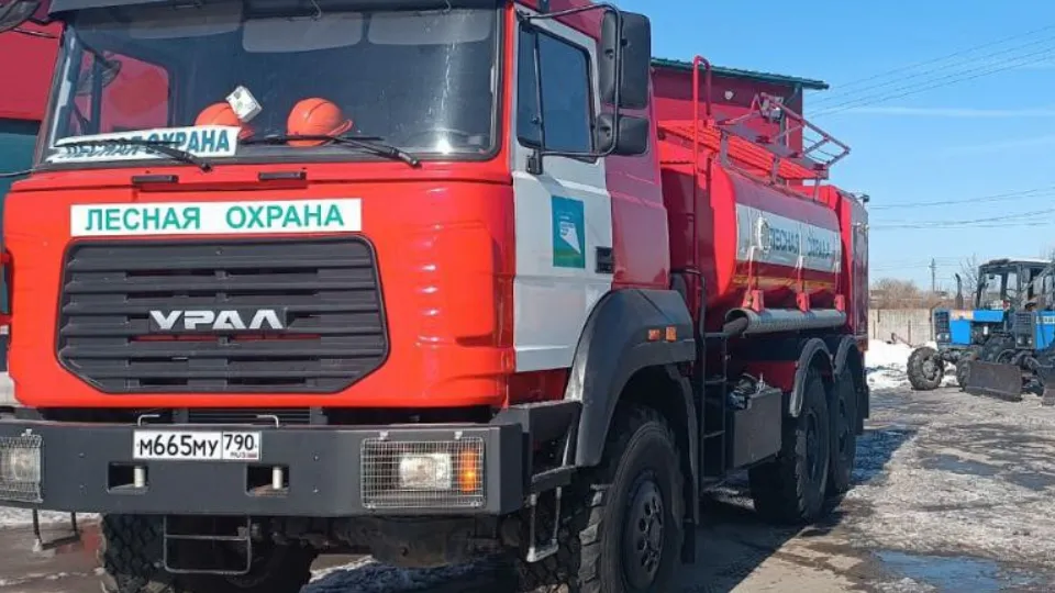 Фото: Комитет лесного хозяйства Московской области