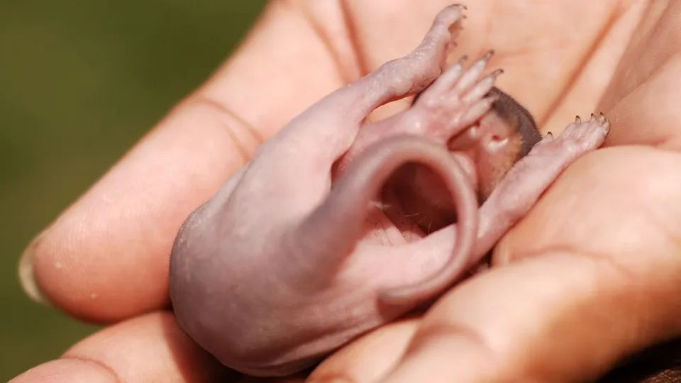 Фото: istockphoto.com