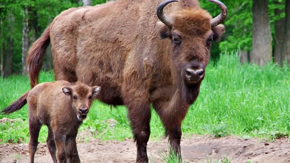 Фото: Ольга Калинина