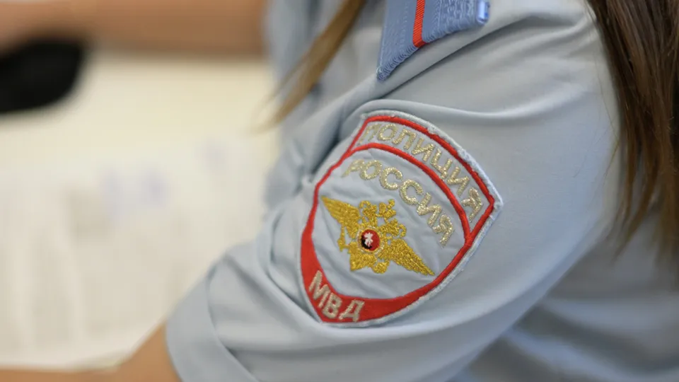 Фото: РИА Новости/Александр Кряжев