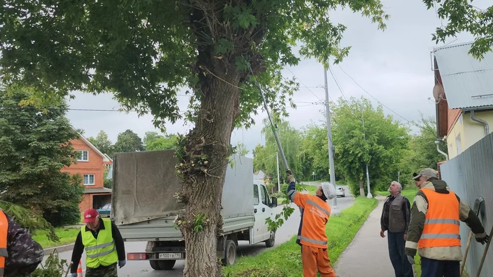 Фото: REGIONS/Александр Степушкин