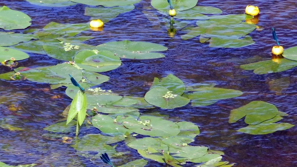 Фото: vk.com/Александр Беляев