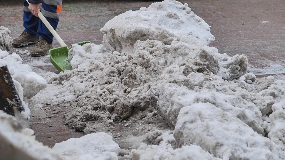 Фото: istockphoto.com/Mikhail Davidovich