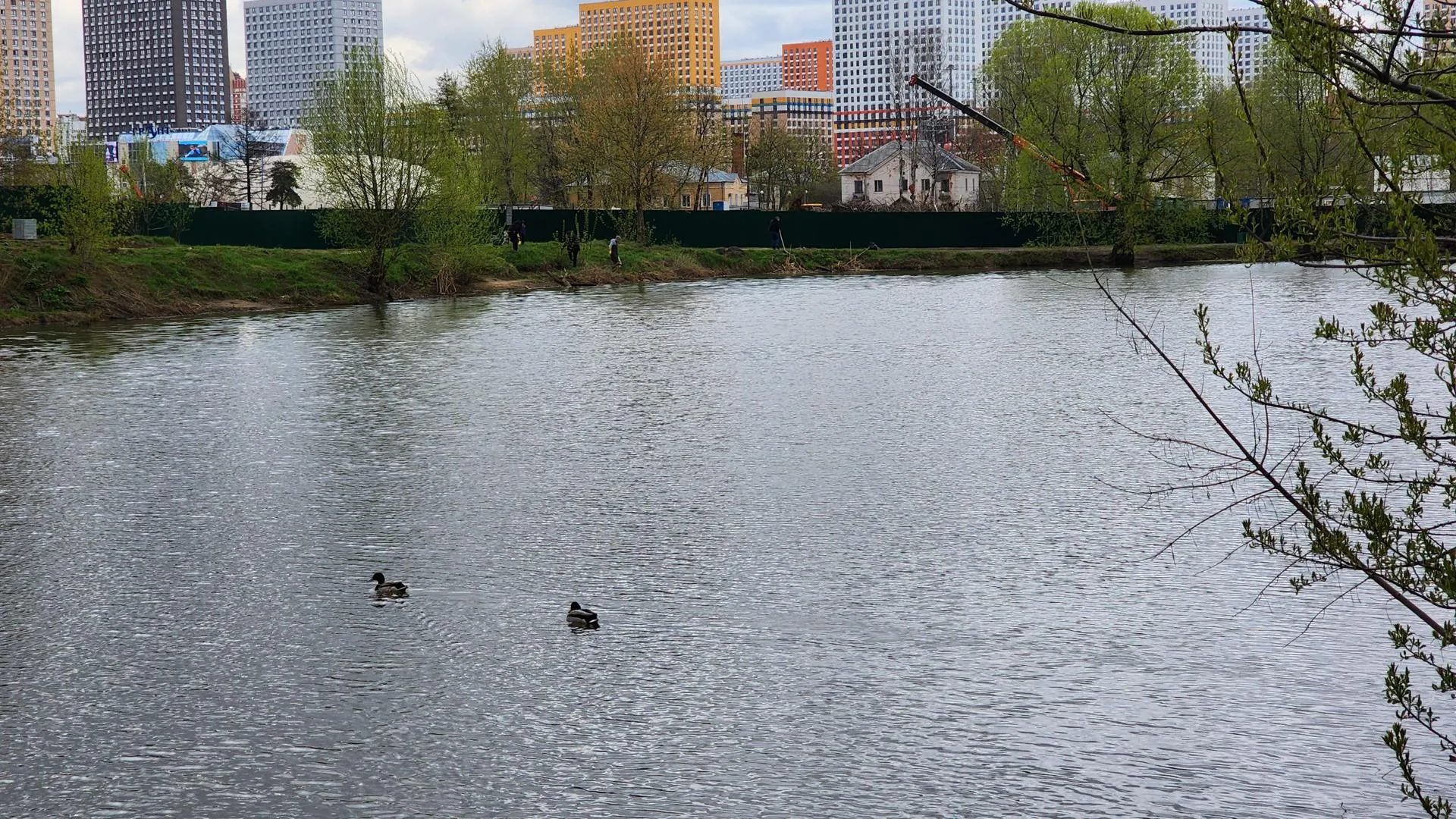 Фото: Ольга Фельдфебелева