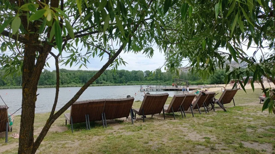 Фото: МедиаБанк Подмосковья/Евгения Герасимова