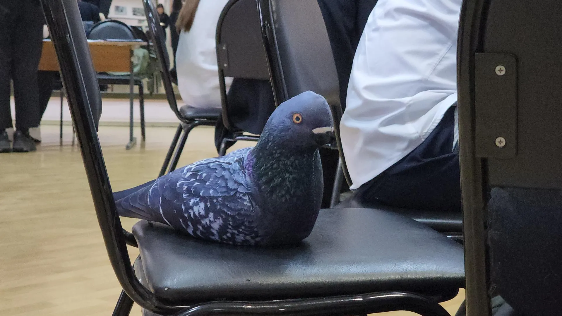 Алёна Притула