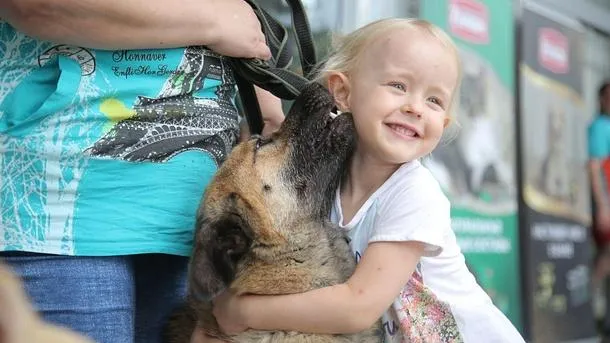Пресс-служба администрации Одинцовского г. о.