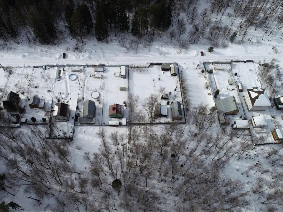 Фото: пресс-служба Комитета лесного хозяйства Московской области